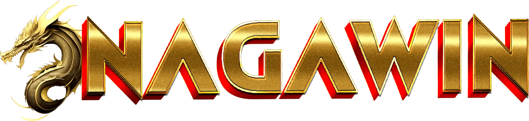 NAGAWIN Logo